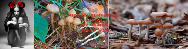 мефедрон Армянск