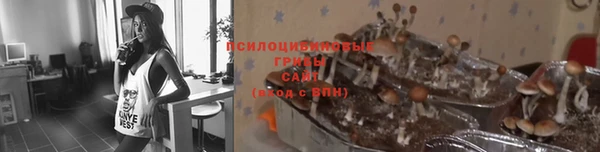 COCAINE Арсеньев