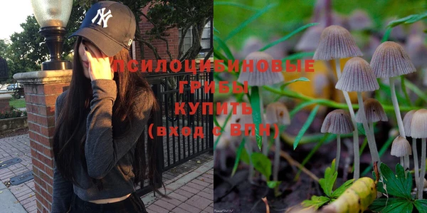 мет Аркадак