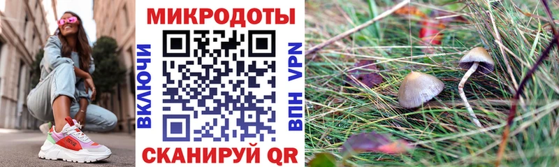Галлюциногенные грибы мухоморы  купить  цена  Белый 